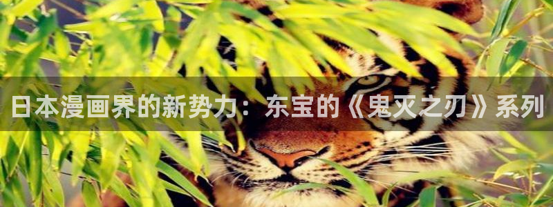 91漫画在哪下载